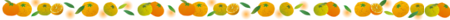 mikan_line